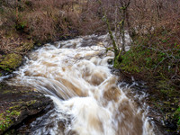 20201205-Dhivach-EM124737