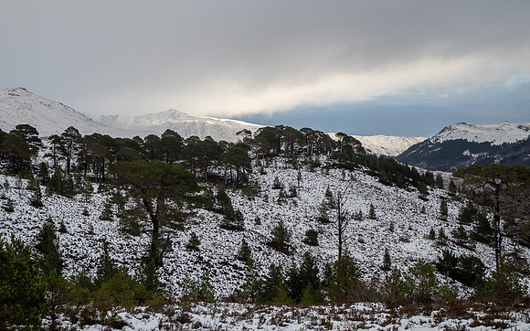 Snowy Glen Cannich