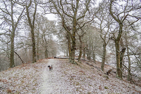 Balmacaan Winter