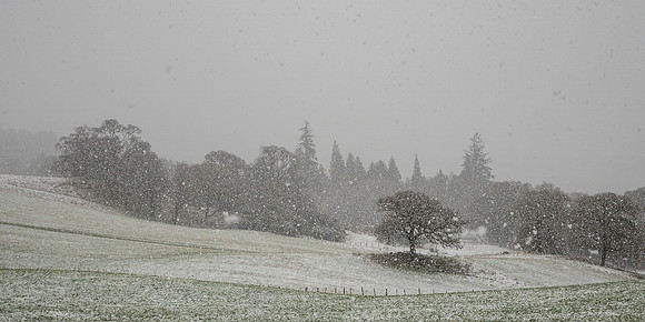 Balmacaan Winter