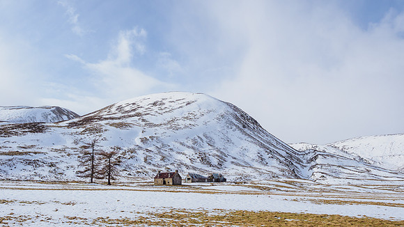 Upper Coignashie Farm