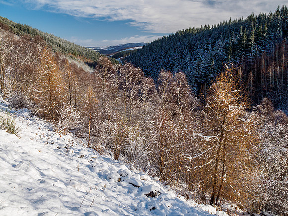 Snow in Glen Coiltie