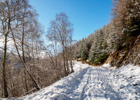 Snow in Glen Coiltie