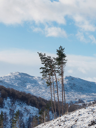 Snow in Glen Coiltie
