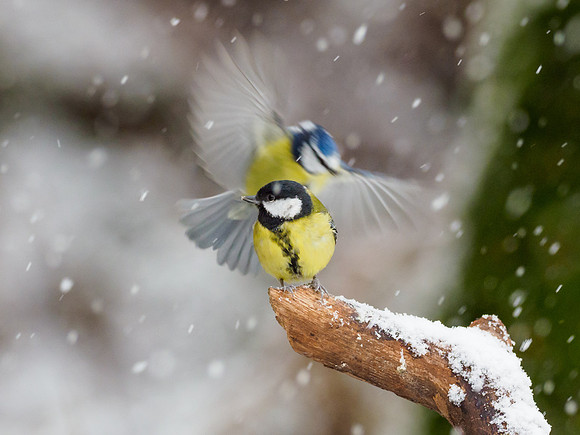 Incoming!