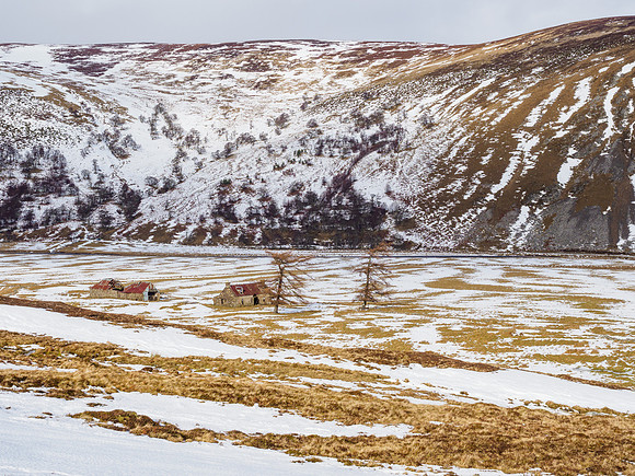 Upper Coignashie Farm