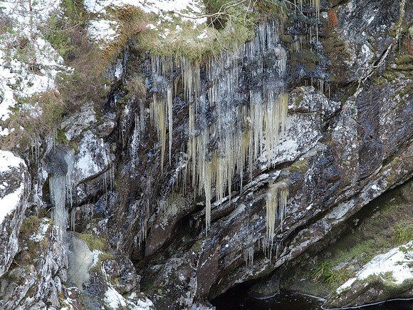 Glen Affric_2010 02 20_2656