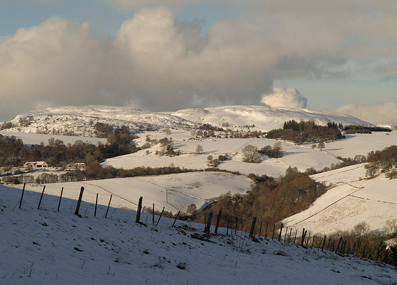 Craig Mony_2010 02 17_2646