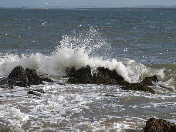 Rosemarkie_2010 02 28_2755