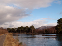 Kytra_2010 02 12_0349