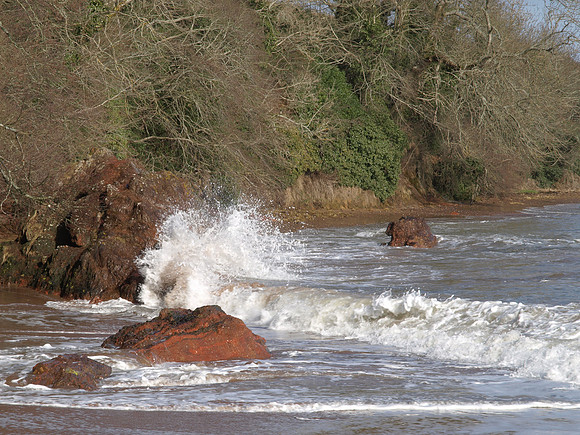 Rosemarkie_2010 02 28_2705