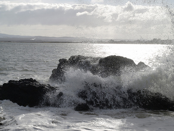 Rosemarkie_2010 02 28_2760