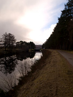 Kytra_2010 02 12_0335