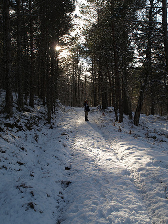 Glen Affric_2010 02 20_2678