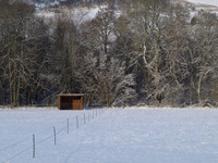 12-2010 December