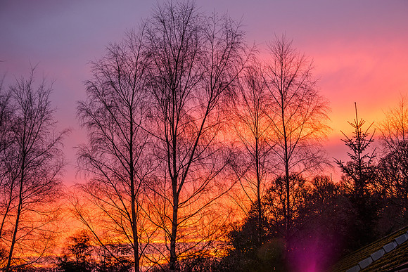 Nice Sky 2 [2001027]