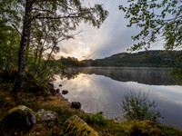 Loch Beinn a' Mheadhoin, Glen Affric (12) [1809016]