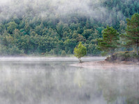 Loch Beinn a' Mheadhoin, Glen Affric (10) [1809014]