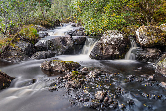 A Hint of Autumn [1809001]