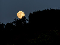 Moonrise