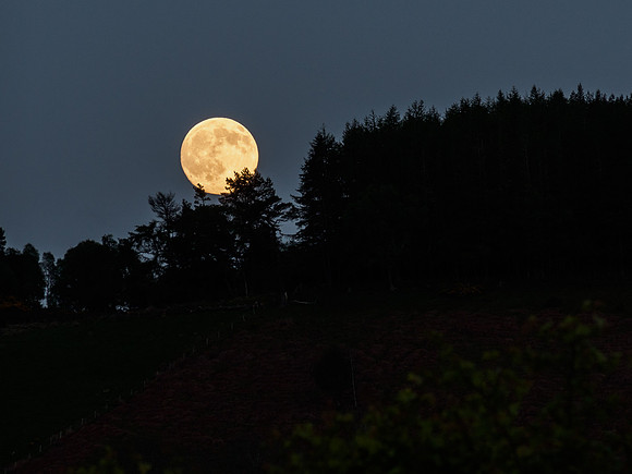 Moonrise