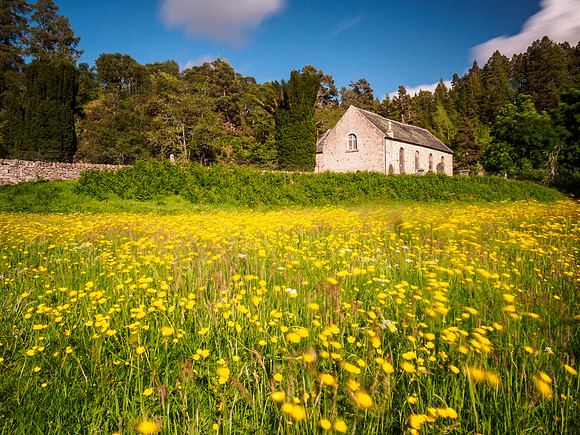 Buttercup Church