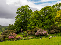Colourful Surroundings