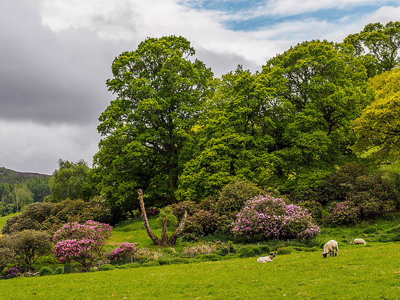 Colourful Surroundings