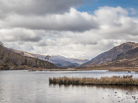 20170417-Glen Strathfarrar-EM520153