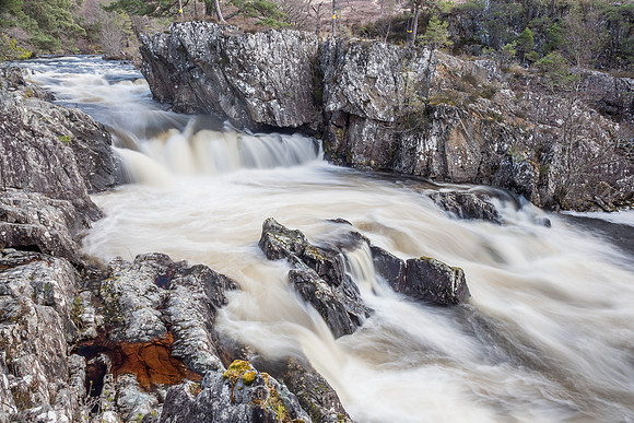 Pollcherian White Water