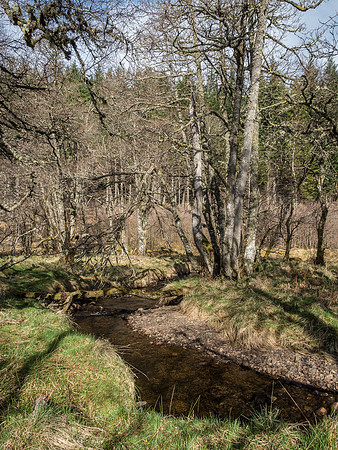 Bruiach Burn