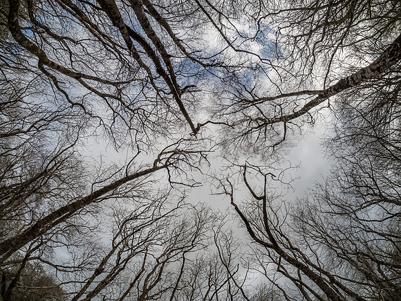 Fisheye Fun