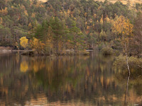 20111002-Glen Affric-QA024009