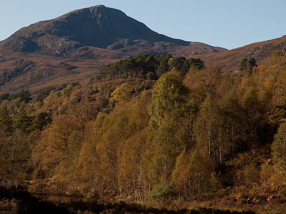 20111002-Glen Affric-QA024079