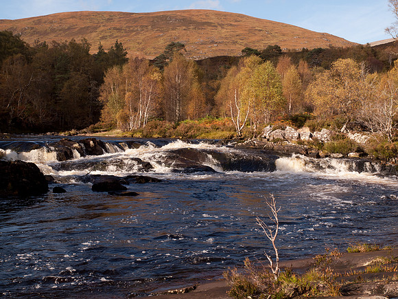 20111002-Glen Affric-QA024036
