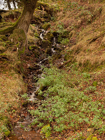 20111019-Clunebeg-QA194526