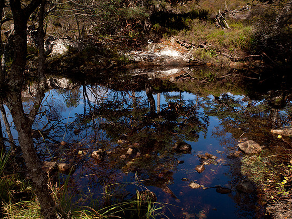 20111002-Glen Affric-QA024042