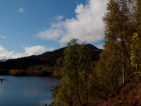 20111002-Glen Affric-QA023999