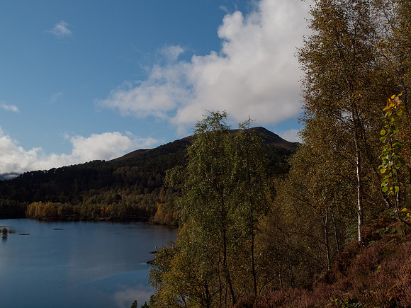 20111002-Glen Affric-QA023999
