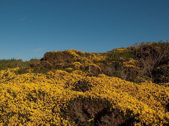 20111014-Hopeman-QA144431-2