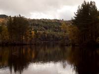 20111002-Glen Affric-QA024004