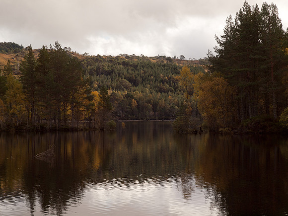 20111002-Glen Affric-QA024004