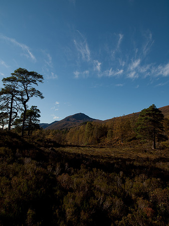 20111002-Glen Affric-QA024085