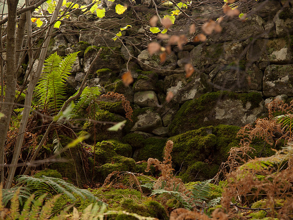 20111009-Craigmonie-QA094186