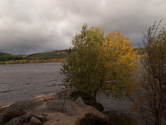 20111009-Loch Ruthven-QA094166