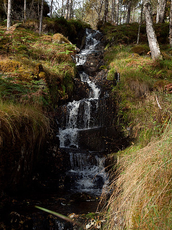 20111002-Glen Affric-QA023976