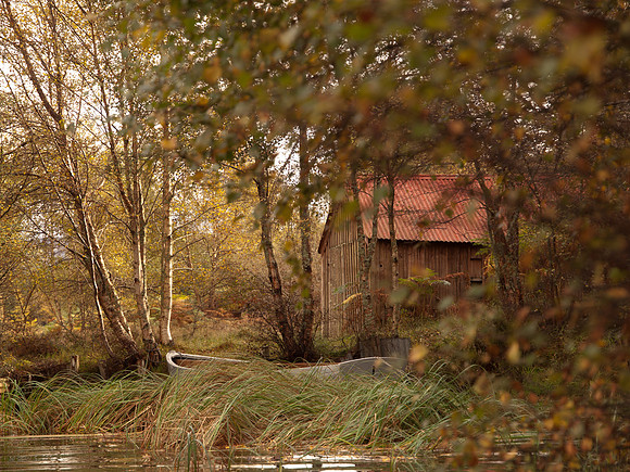 20111009-Loch Ruthven-QA094165