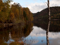 20111002-Glen Affric-QA024006