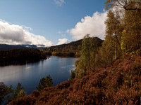 20111002-Glen Affric-QA023991