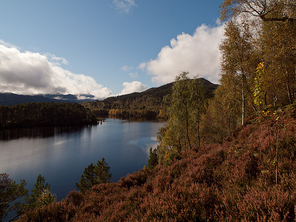 20111002-Glen Affric-QA023991